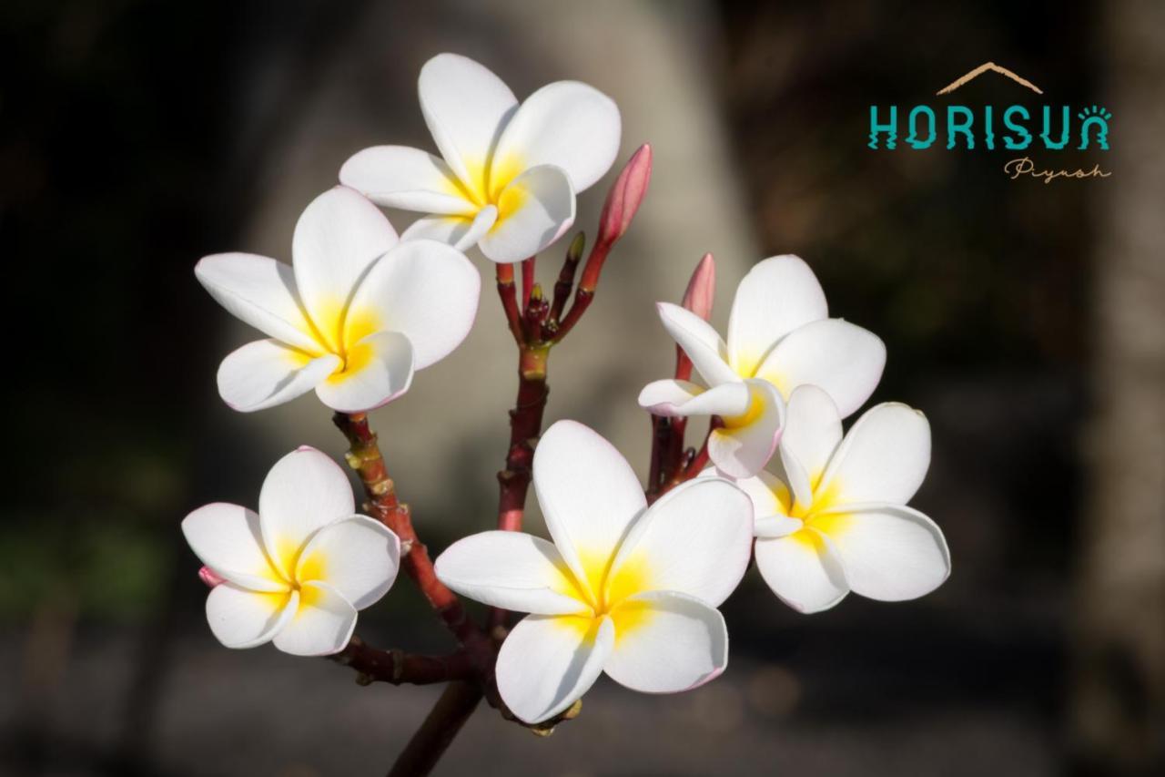 Horisun Apartman Belle Mare Kültér fotó